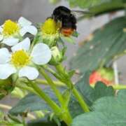 ヒメ日記 2026/02/11 09:13 投稿 聖(ひじり) 那珂川角海老