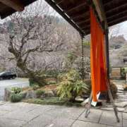 ヒメ日記 2026/03/27 07:43 投稿 聖(ひじり) 那珂川角海老