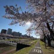 聖(ひじり) 雨のなか帰宅しました 那珂川角海老