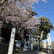 聖(ひじり) （╹◡╹）♡ 那珂川角海老