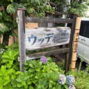 ヒメ日記 2026/07/17 20:53 投稿 聖(ひじり) 那珂川角海老