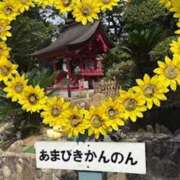 ヒメ日記 2026/08/29 07:13 投稿 聖(ひじり) 那珂川角海老