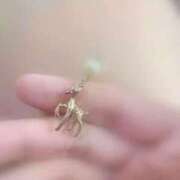 ヒメ日記 2026/09/30 13:49 投稿 聖(ひじり) 那珂川角海老