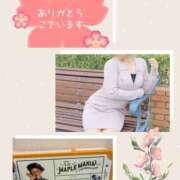 ヒメ日記 2025/04/11 09:48 投稿 なお 奥鉄オクテツ大阪