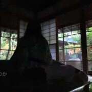 ヒメ日記 2025/12/23 08:17 投稿 星野　ほのか 松山回春性感エステオールスターズ