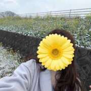 ヒメ日記 2026/02/11 20:53 投稿 星野　ほのか Muzerva Wave