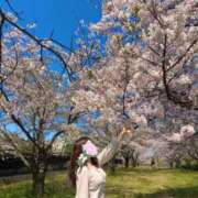 ヒメ日記 2026/04/08 21:36 投稿 星野　ほのか Muzerva Wave