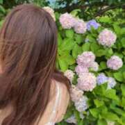 ヒメ日記 2026/07/08 20:26 投稿 星野　ほのか Muzerva Wave