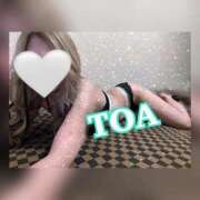 ヒメ日記 2024/12/29 19:28 投稿 とあ PHANTOM(ファントム)