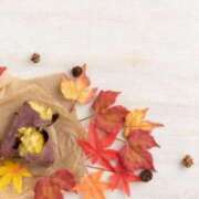 ヒメ日記 2025/11/20 17:44 投稿 れむ ピーチガール