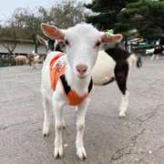 ヒメ日記 2025/10/28 13:45 投稿 かほ チェックイン横浜女学園