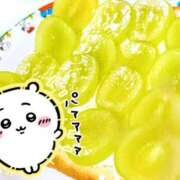 ヒメ日記 2026/01/23 09:17 投稿 長門ゆら 若奥サマンサ（横浜ハレ系）