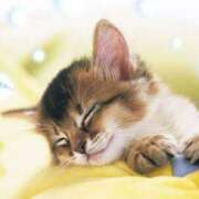 ヒメ日記 2026/02/06 06:53 投稿 長門ゆら 若奥サマンサ（横浜ハレ系）