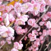 長門ゆら シフト変更になってます 若奥サマンサ（横浜ハレ系）