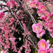 ヒメ日記 2026/03/06 09:07 投稿 長門ゆら 若奥サマンサ（横浜ハレ系）