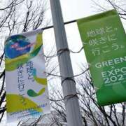 ヒメ日記 2026/03/23 09:09 投稿 長門ゆら 若奥サマンサ（横浜ハレ系）