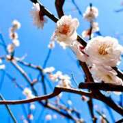 ヒメ日記 2026/03/28 09:08 投稿 長門ゆら 若奥サマンサ（横浜ハレ系）