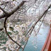 ヒメ日記 2026/03/29 11:14 投稿 長門ゆら 若奥サマンサ（横浜ハレ系）