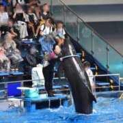 ヒメ日記 2026/09/16 09:37 投稿 長門ゆら 若奥サマンサ（横浜ハレ系）