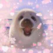 ヒメ日記 2024/12/22 05:07 投稿 こはる プールサイド新橋店