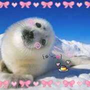 ヒメ日記 2024/12/22 23:14 投稿 こはる プールサイド新橋店