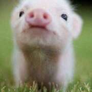 ヒメ日記 2025/01/04 18:10 投稿 こはる プールサイド新橋店