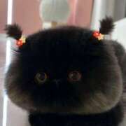 ヒメ日記 2025/01/10 05:08 投稿 こはる プールサイド新橋店