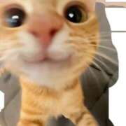 ヒメ日記 2025/01/15 18:05 投稿 こはる プールサイド新橋店