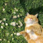 ヒメ日記 2025/01/25 18:08 投稿 こはる プールサイド新橋店