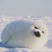 ヒメ日記 2025/02/05 18:15 投稿 こはる プールサイド新橋店