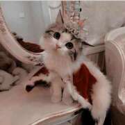 ヒメ日記 2025/02/05 18:49 投稿 こはる プールサイド新橋店