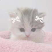 ヒメ日記 2025/02/06 18:15 投稿 こはる プールサイド新橋店