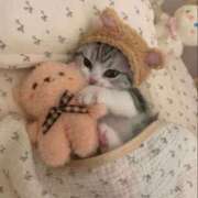 ヒメ日記 2025/02/18 18:12 投稿 こはる プールサイド新橋店