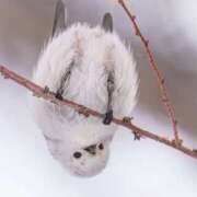 ヒメ日記 2025/03/02 19:12 投稿 こはる プールサイド新橋店