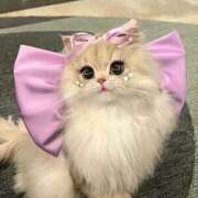 ヒメ日記 2025/03/16 18:45 投稿 こはる プールサイド新橋店