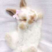 ヒメ日記 2025/03/18 18:10 投稿 こはる プールサイド新橋店