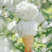 ヒメ日記 2025/03/19 16:04 投稿 こはる プールサイド新橋店