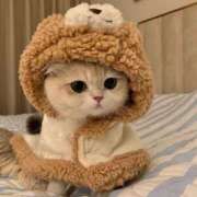 ヒメ日記 2025/03/30 18:07 投稿 こはる プールサイド新橋店