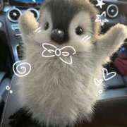 ヒメ日記 2025/04/20 23:09 投稿 こはる プールサイド新橋店