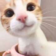 ヒメ日記 2025/04/30 16:03 投稿 こはる プールサイド新橋店