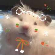 ヒメ日記 2026/02/27 05:15 投稿 こはる プールサイド新橋店