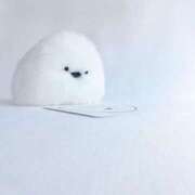 ヒメ日記 2026/03/03 21:05 投稿 こはる プールサイド新橋店