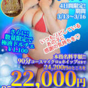 こはる 19時～ プールサイド新橋店