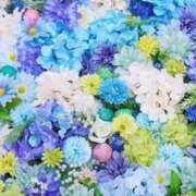 ヒメ日記 2025/04/07 12:13 投稿 えり 待ちナビ