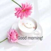 ヒメ日記 2024/12/14 10:30 投稿 久保芽衣 五十路マダム　広島店