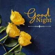 ヒメ日記 2024/12/19 21:52 投稿 久保芽衣 五十路マダム　広島店