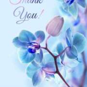 ヒメ日記 2025/03/25 12:46 投稿 久保芽衣 五十路マダム　広島店