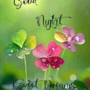 ヒメ日記 2025/03/26 21:22 投稿 久保芽衣 五十路マダム　広島店