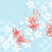 ヒメ日記 2025/06/16 18:16 投稿 久保芽衣 五十路マダム　広島店