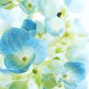 ヒメ日記 2025/06/18 13:24 投稿 久保芽衣 五十路マダム　広島店